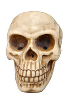 SKULL DESKTOP